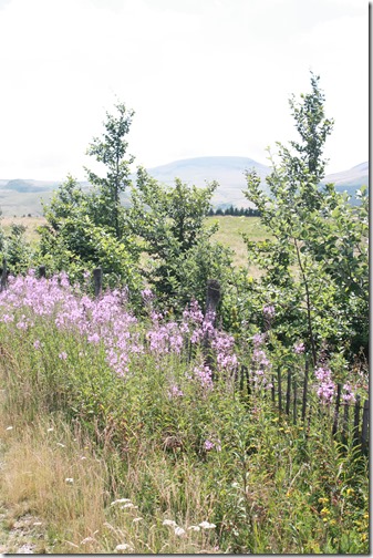 MARTIN_2015_07_23_0395