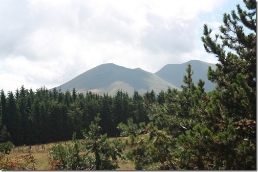 MARTIN_2015_07_23_0397