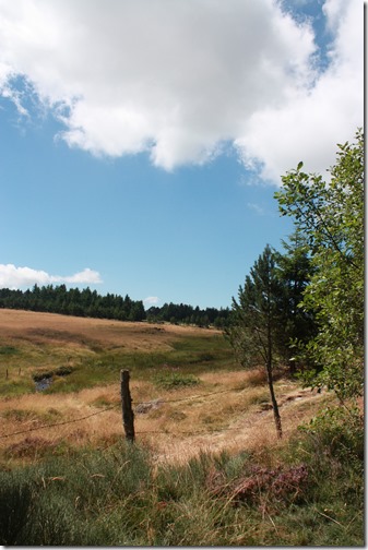 MARTIN_2015_07_23_0405