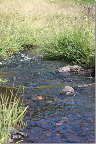 MARTIN_2015_07_23_0409