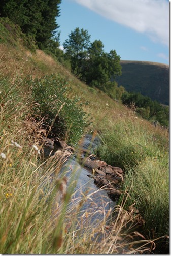 MARTIN_2015_07_23_0413