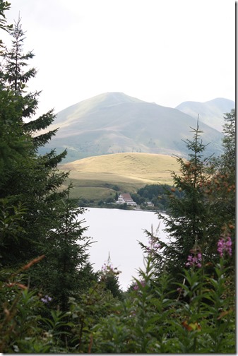 MARTIN_2015_07_23_0414