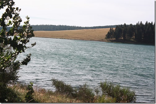 MARTIN_2015_07_31_0505