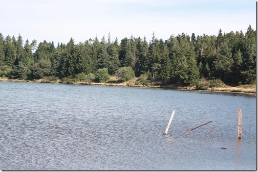 MARTIN_2015_07_31_0509