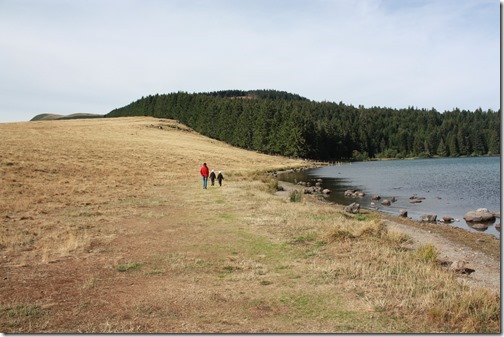 MARTIN_2015_07_31_0510