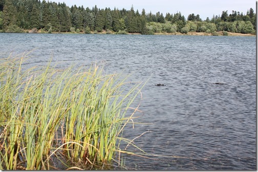 MARTIN_2015_07_31_0511