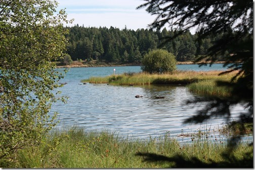 MARTIN_2015_07_31_0513