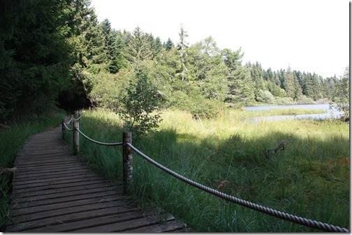 MARTIN_2015_07_31_0515