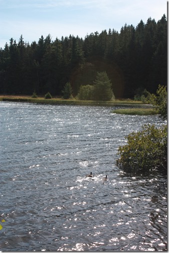 MARTIN_2015_07_31_0516