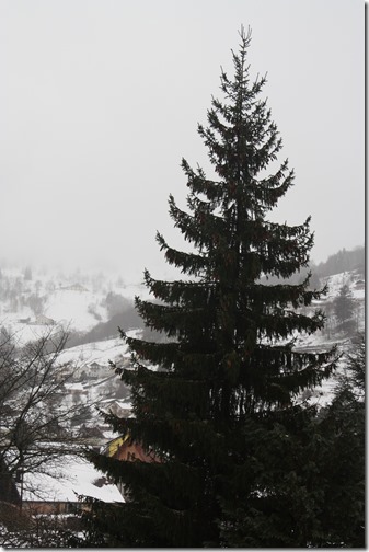 MARTIN_2015_11_29_1175