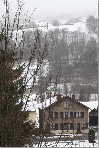 MARTIN_2015_11_29_1177