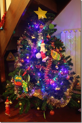 MARTIN_2015_12_06_1186