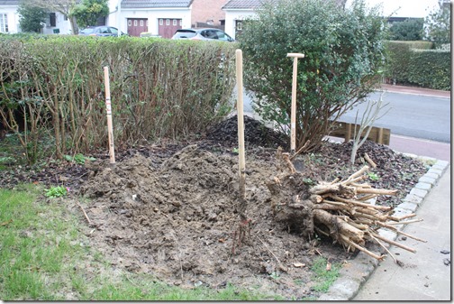 MARTIN_2016_03_10_0063