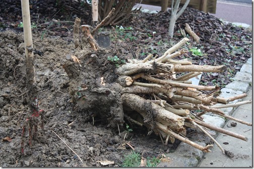 MARTIN_2016_03_10_0064