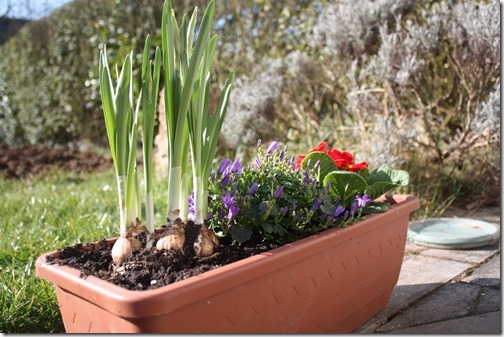 MARTIN_2016_03_17_0072