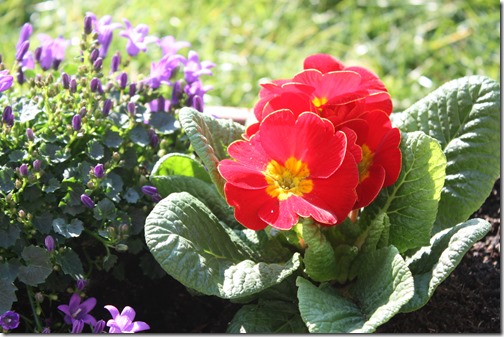 MARTIN_2016_03_17_0079