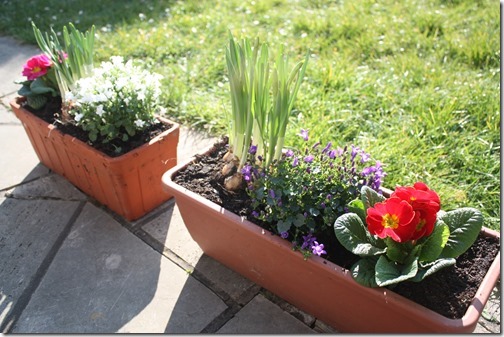 MARTIN_2016_03_17_0080