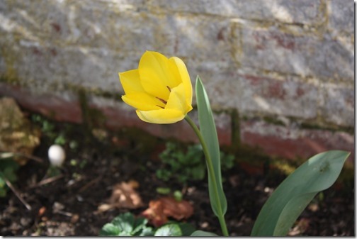 MARTIN_2016_04_03_0093 MARTIN_2016_04_03_0093