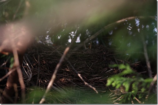 MARTIN_2016_05_08_0163