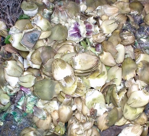 WIN_20160608_084909 (2)