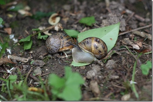 MARTIN_2016_06_24_0215