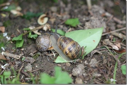 MARTIN_2016_06_24_0216