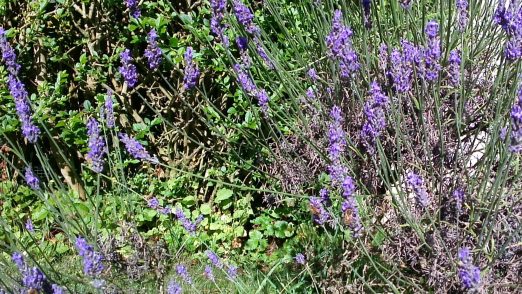 WIN_20160717_093007 (2)