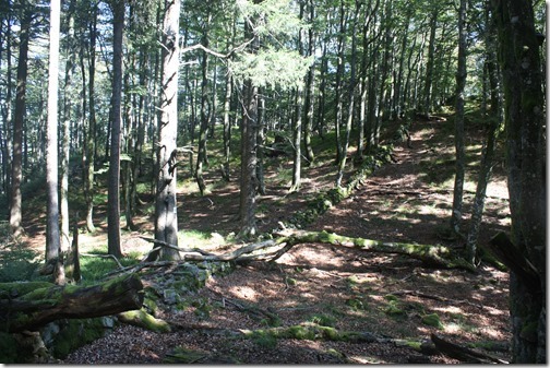 MARTIN_2016_09_24_0236