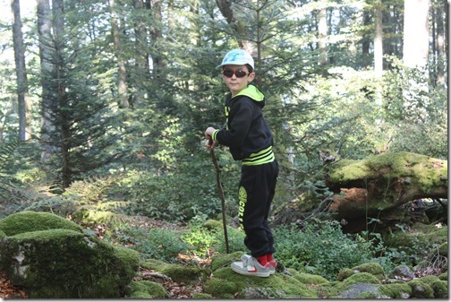 MARTIN_2016_09_24_0239