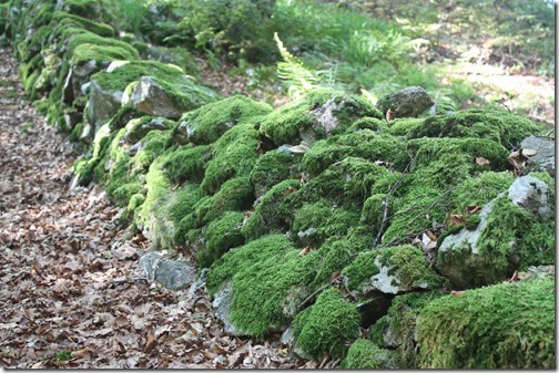 MARTIN_2016_09_24_0242