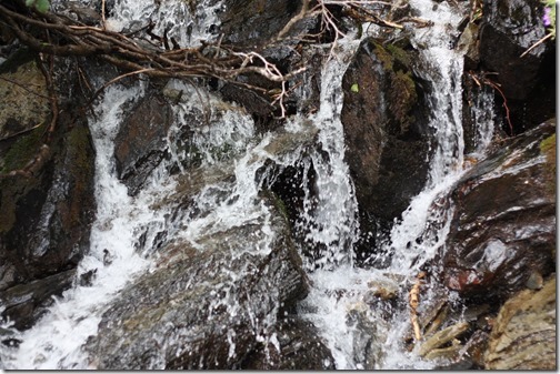 MARTIN_2017_07_10_0525