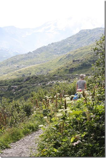 MARTIN_2017_07_10_0527