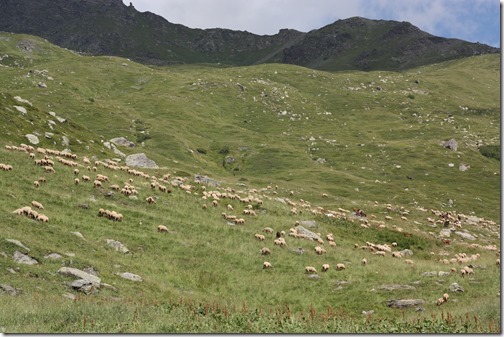 MARTIN_2017_07_10_0528