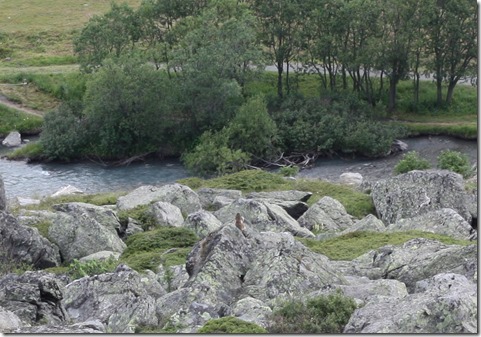 MARTIN_2017_07_10_0534