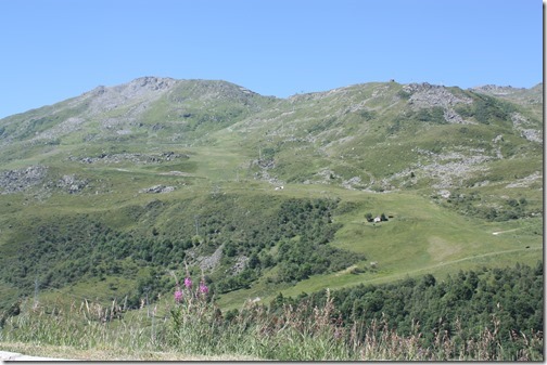 MARTIN_2017_07_15_0566