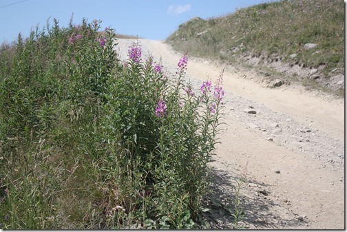 MARTIN_2017_07_18_0615