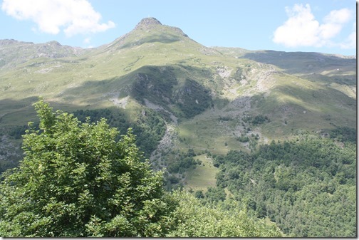 MARTIN_2017_07_20_0638