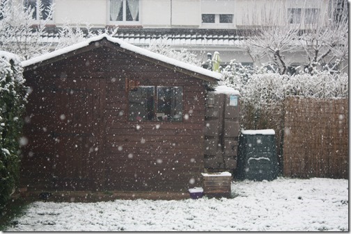 MARTIN_2018_02_06_0850