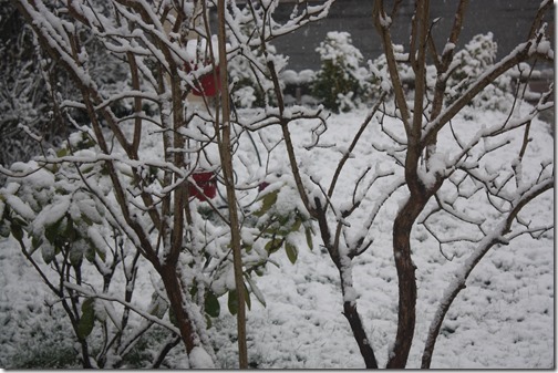 MARTIN_2018_02_06_0852