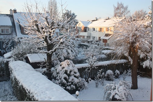 MARTIN_2018_02_08_0853