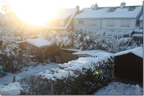 MARTIN_2018_02_08_0854