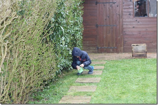 MARTIN_2018_04_01_0906