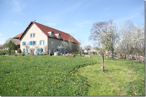 MARTIN_2018_04_24_1297