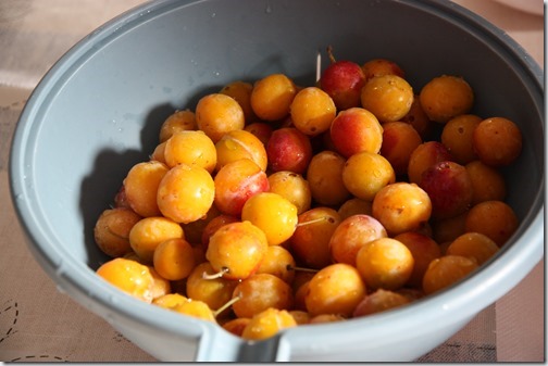 MARTIN_2018_08_26_1442