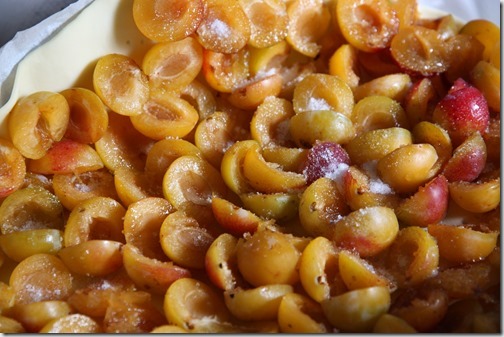 MARTIN_2018_08_26_1444