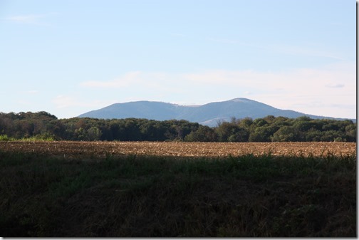 MARTIN_2018_08_26_1468