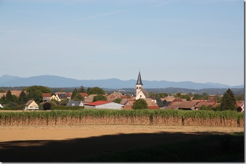 MARTIN_2018_08_26_1470