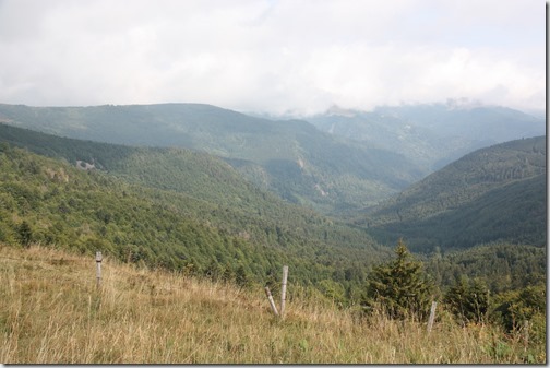 MARTIN_2018_08_28_1484 MARTIN_2018_08_28_1484