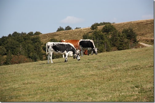 MARTIN_2018_08_28_1514 MARTIN_2018_08_28_1514