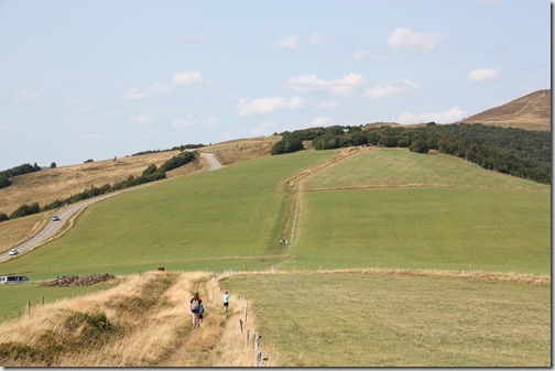 MARTIN_2018_08_28_1515 MARTIN_2018_08_28_1515